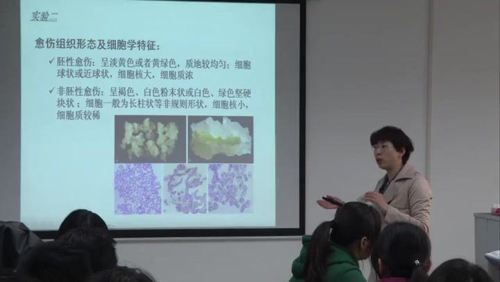 植物生物技术-华中农业大学
