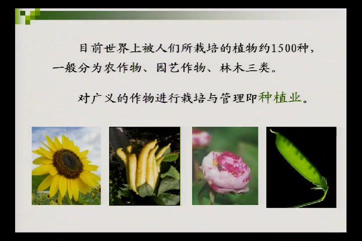 作物栽培学-华中农业大学